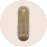 Shilajit Extract